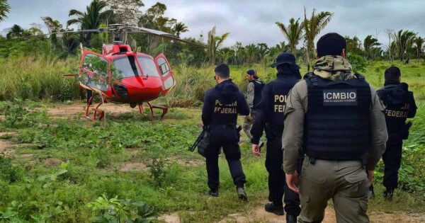 Pesquisa traça conexões entre narcotráfico e crimes ambientais