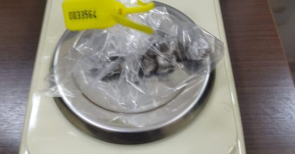Indivíduo é detido com porções de maconha