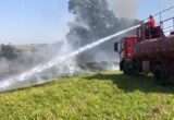 Brigada de Incêndio de Monte Alto: Proteção e Ação em 700 Ocorrências