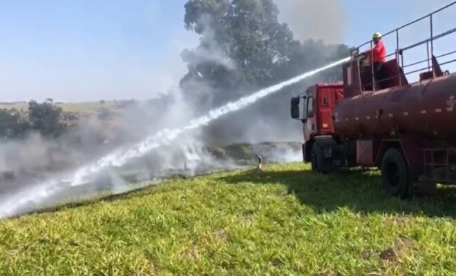 Brigada de Incêndio de Monte Alto: Proteção e Ação em 700 Ocorrências