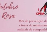 CÂNCER DE MAMA EM ANIMAIS, COMO PREVENIR?