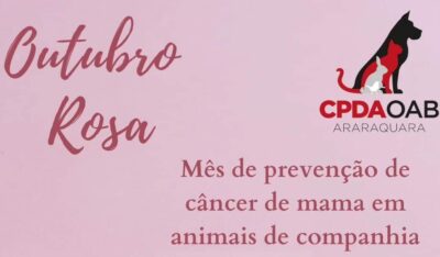CÂNCER DE MAMA EM ANIMAIS, COMO PREVENIR?