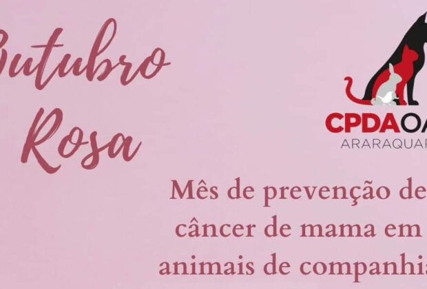 CÂNCER DE MAMA EM ANIMAIS, COMO PREVENIR?