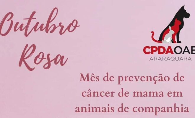 CÂNCER DE MAMA EM ANIMAIS, COMO PREVENIR?